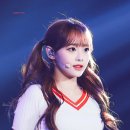 와와 Daum카페