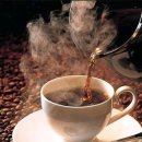 커피종류와 커피및파킨슨병 연관관계 이미지