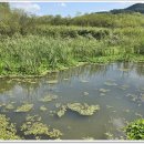 지정낚시터 이미지