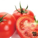 토마토 이미지