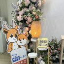 서구청 본관 | w_7 ෆ 인천 서구청 혼인신고 후기!