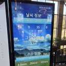 골프 시즌을 맞은 보라cc 라운드 후기 / 코스 상태 리뷰, 임박 티 할인 정보