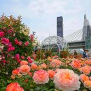 장일셀프타운 이미지