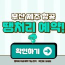 (주)제주국제관광여행사 | 부산제주 항공권과 땡처리 예약 전략 총정리