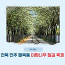 오들길 | 국내 5월 봄꽃 축제 전북 전주 팔복동 이팝나무 철길 축제