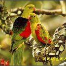 미소와행복 이미지