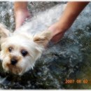 수원-0530 이미지