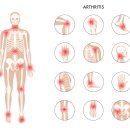 강정동-19 이미지
