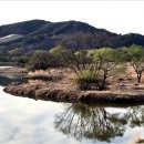 이방초등학교 이미지