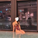 스킨딜라잇 | 딜라잇풀 수영복👙