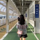 스타라인 | 대마도 히타카츠 배편 스타라인 노바호 탑승후기