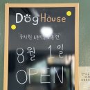 도그하우스 애견샵 이미지
