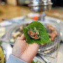 원조숯불닭불고기 앞 | 춘천 닭갈비 찐 맛집 원조숯불닭불고기집