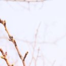 은혜병원 | 병원생활 후기#재활과정#감사#은혜