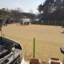 호반애견훈련소 이미지