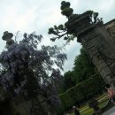 미라벨(MIRABELL) 이미지