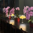 안채 | 진주 카페 평거동 안채 요거트 젤라또 맛집 내돈내산 후기