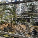 사월동 지석묘군 이미지