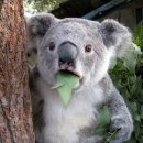 (주)히즈윌 | 신의악단 1주 동안 2번 관람 후기