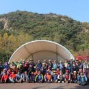 호수공원소나무숲길 이미지