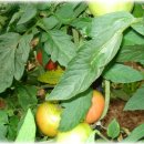 정성농장 이미지