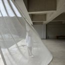 춘해보건대학교 | 요가명상/트리비움/춘해보건대학교 요가과