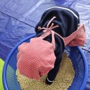 고촌경로당 이미지