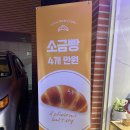 복정로 | 경기 성남 : 복정 카페 로투스 베이커리 소금빵 맛집 다녀 온 후기