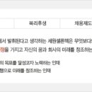 셀론텍(주) Daum카페