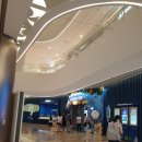 밸루피디 | [YTN사이언스 황금나침반 티비프로그램] 잠실 아쿠아리움 씨워킹체험하러 펀펀다이브클럽 펀펀이들이 떳다!