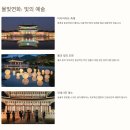 종로-현장-종로-세-123 | 서울 종로 가볼만한곳 서울 궁궐 창경궁 야간개장 물빛연화