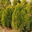 순희농장 이미지