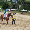 그린네 은쟁반 이미지