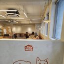 해피베이커리 | 안양 비산동 베이커리 카페 리뉴얼 후기