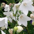 북가좌초등학교 이미지