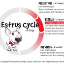 금천동물병원 이미지