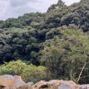 새소리농장 이미지