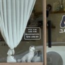 CU 성북정릉점 | 주말일기(스위스그랜드호텔/닭한마리/메가팩토리약국)
