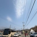 매화마을 우림(아) | 3월 국내 봄꽃 여행지 추천｜광양 매화축제 매화마을 직접 다녀온 후기