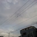 동강한우 - 영월군 하송안길 65 | 동강한우