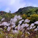 🫎 경북 안동 선비순례길 6코스 (역동길) 답사 걷기(2024/11/02) 🦋 이미지