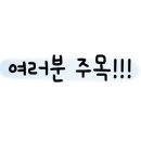 the 예뻐지러 이미지