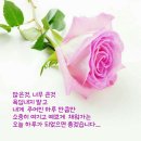 행복한날 Daum카페