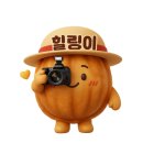 대가야센터-9 | 파나소닉 루믹스 S1R II 고화질 액정보호필름 힐링쉴드천안 ***********