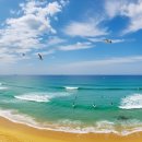다도 앤 티소뮬리에 | 🌊 강원도 강릉·양양 2박 3일 : 여행코스 완벽 정리