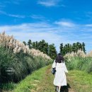 다희농장 이미지