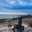 sunny house | 제주도 한달살기 서귀포 성산 숙소 비용 미스터멘션
