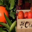 몬딱쉼터 이미지