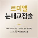 르미엘성형외과의원 이미지