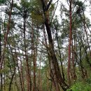 장안사3(쉼터) 이미지